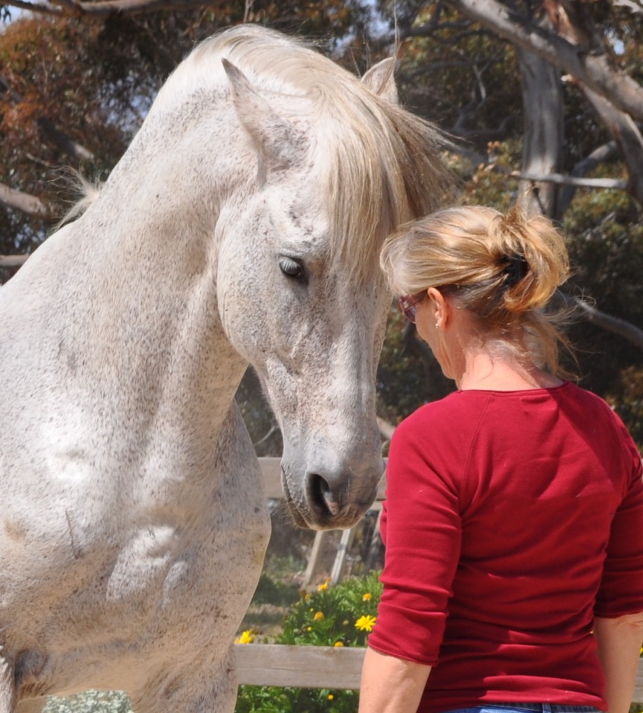 Coaching by a horse for personal growth