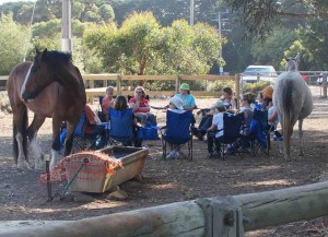 Waterhole gathering1 Feb24