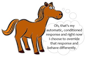 horse cartoon-0